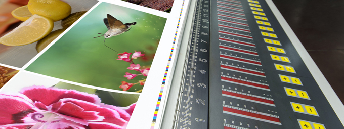 Offset Printing